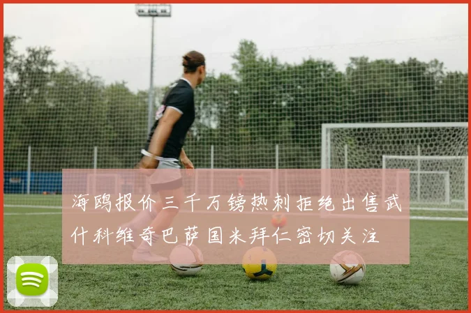 海鸥报价三千万镑热刺拒绝出售武什科维奇巴萨国米拜仁密切关注