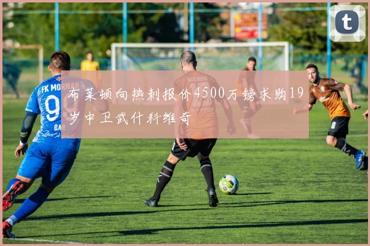 布莱顿向热刺报价4500万镑求购19岁中卫武什科维奇